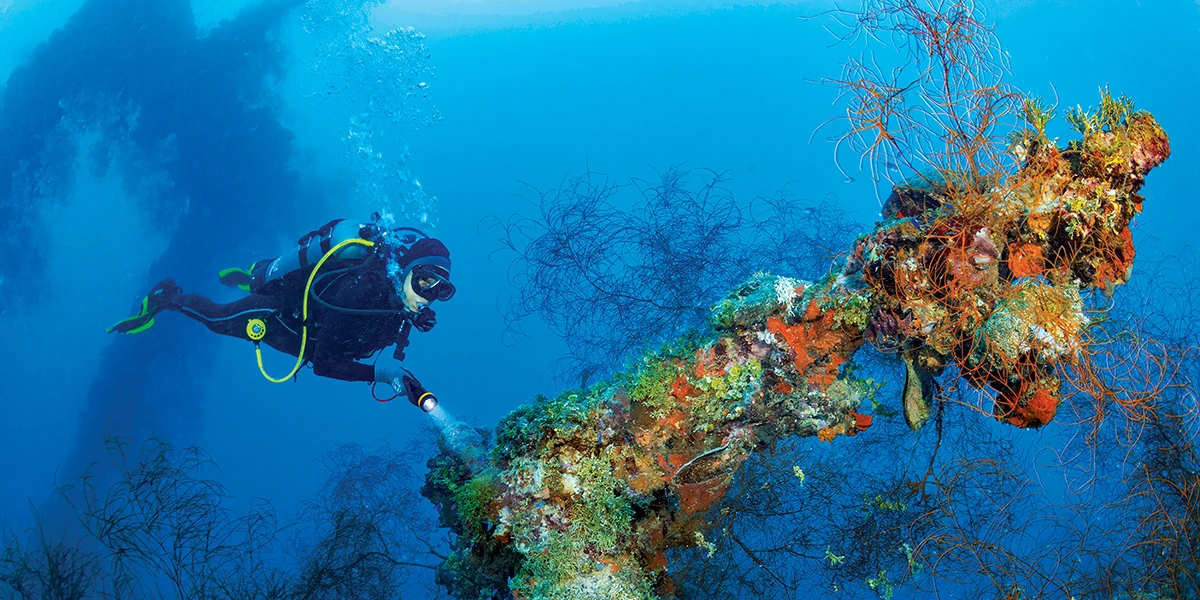 A diver hovers beside the bow-mounted gun of the Kensho Maru.