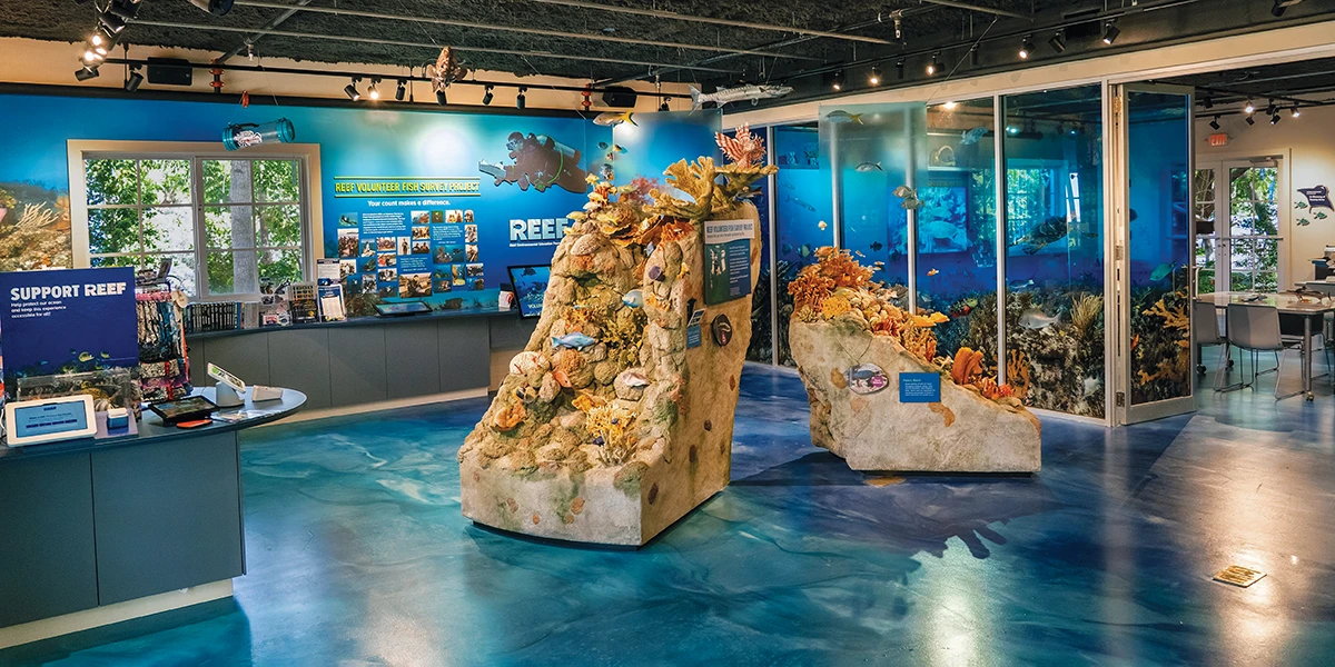 The REEF Ocean Exploration Center (OEC)
