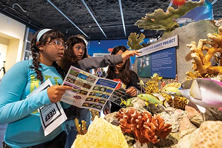 Students practice fish identification