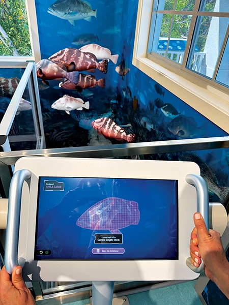 Exhibits simulate the science behind of many of REEF’s in-water innovations, including the Grouper Spotter facial recognition software.