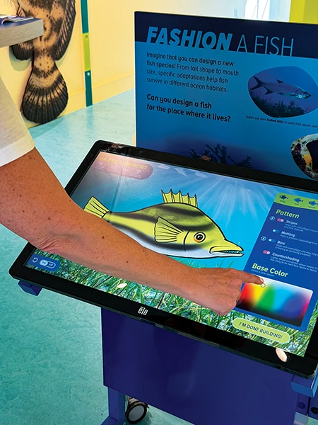 Fashion a Fish interactive game