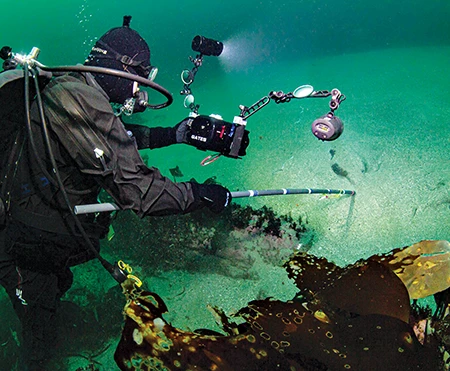 A tagging pole allows gentle lifting of the ray to help determine its gender.