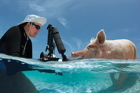 Quigley with a wading pig.