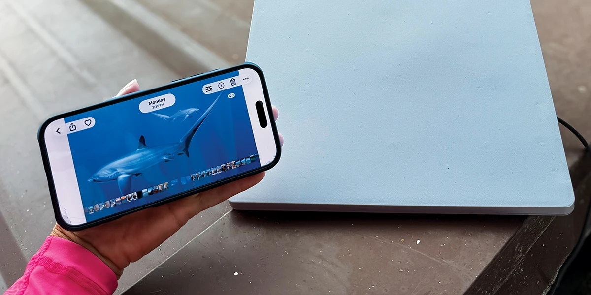 Phone with Starlink Connectivity