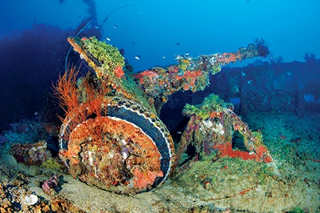 This artillery gun is on the deck of the Nippo Maru
